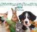 راهنمای مراقبت از حیوانات خانگی 7 نکته برای صاحبان جدید